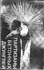 Victimised : Concrete Jungle Guerillas